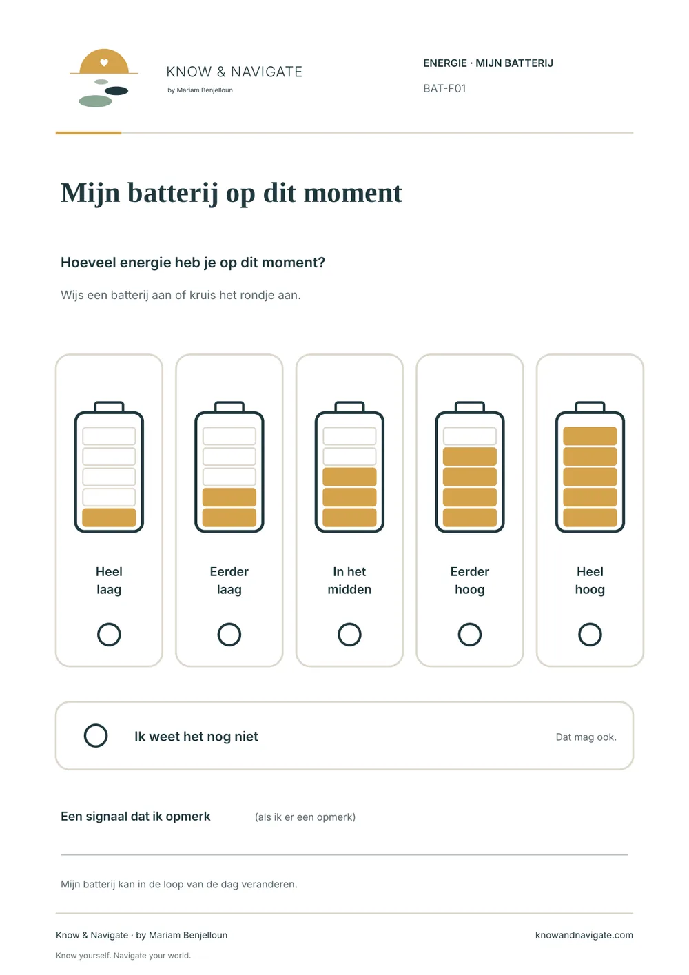 Voorbeeld van werkblad BAT-F01 ‘Mijn batterij op dit moment’, pagina 1 van 1